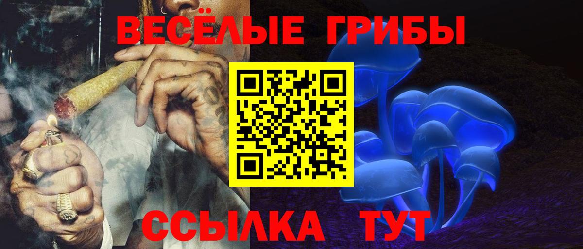 Галлюциногенные грибы прущие грибы  Вход с VPN  Родники 